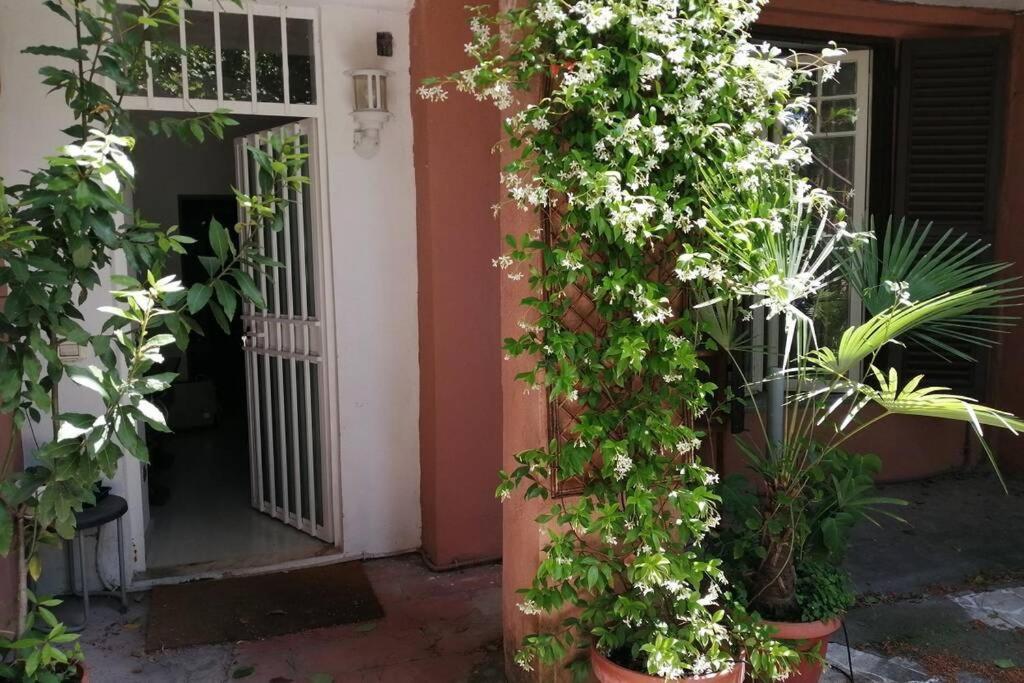 Appartamento La casa della mia famiglia Roma Esterno foto